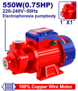 ELECTROPOMPE 0,75CV 1"H45M 45L/MN