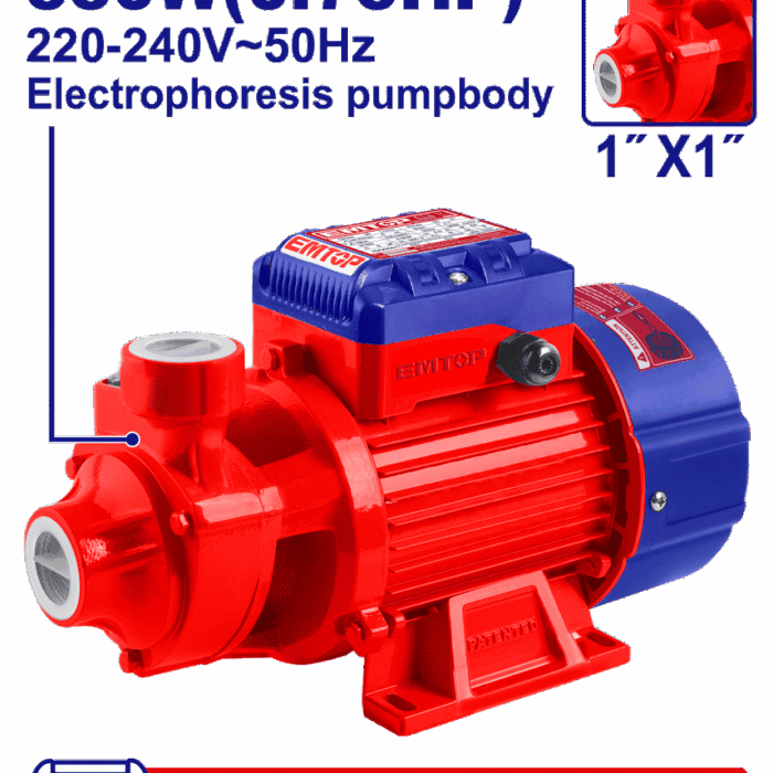 ELECTROPOMPE 0,75CV 1"H45M 45L/MN
