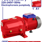 EWPPJ07501